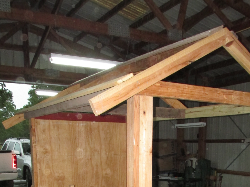Roof framing on the chicken coop