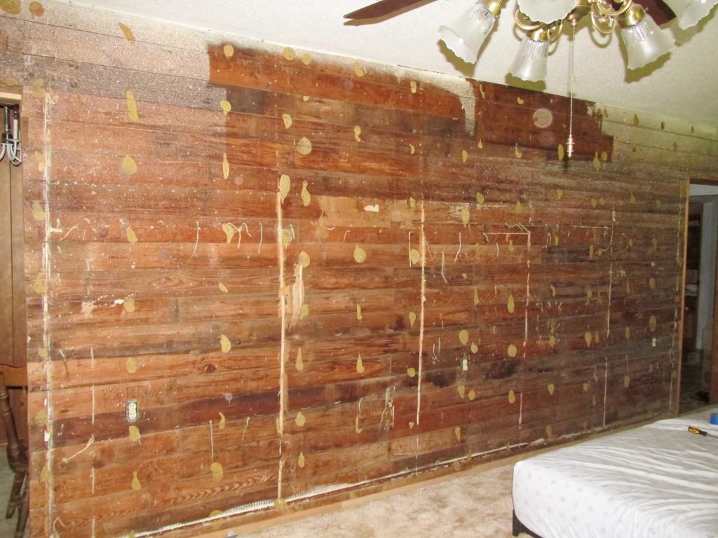 exposed shiplap under panel wall with glue stuck on wall