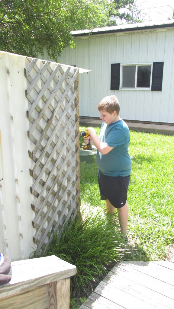 young boy unscrewing lattice attached the well house shed.