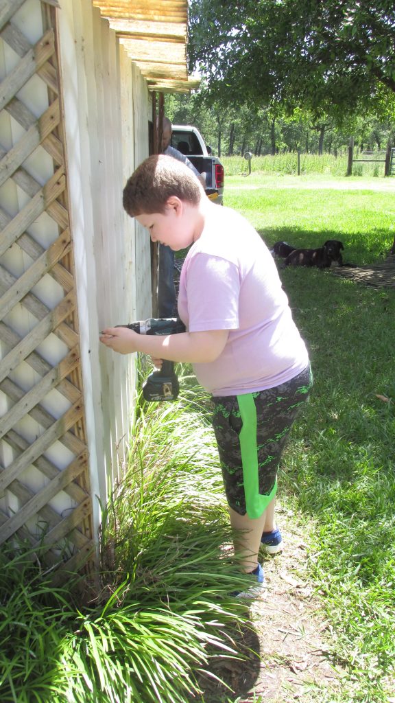 second young boy using screw gun to take apart shed.