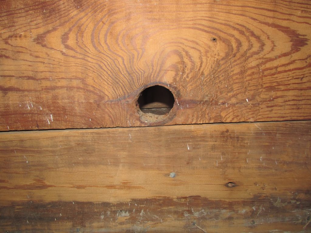 knot hole in shiplap wall